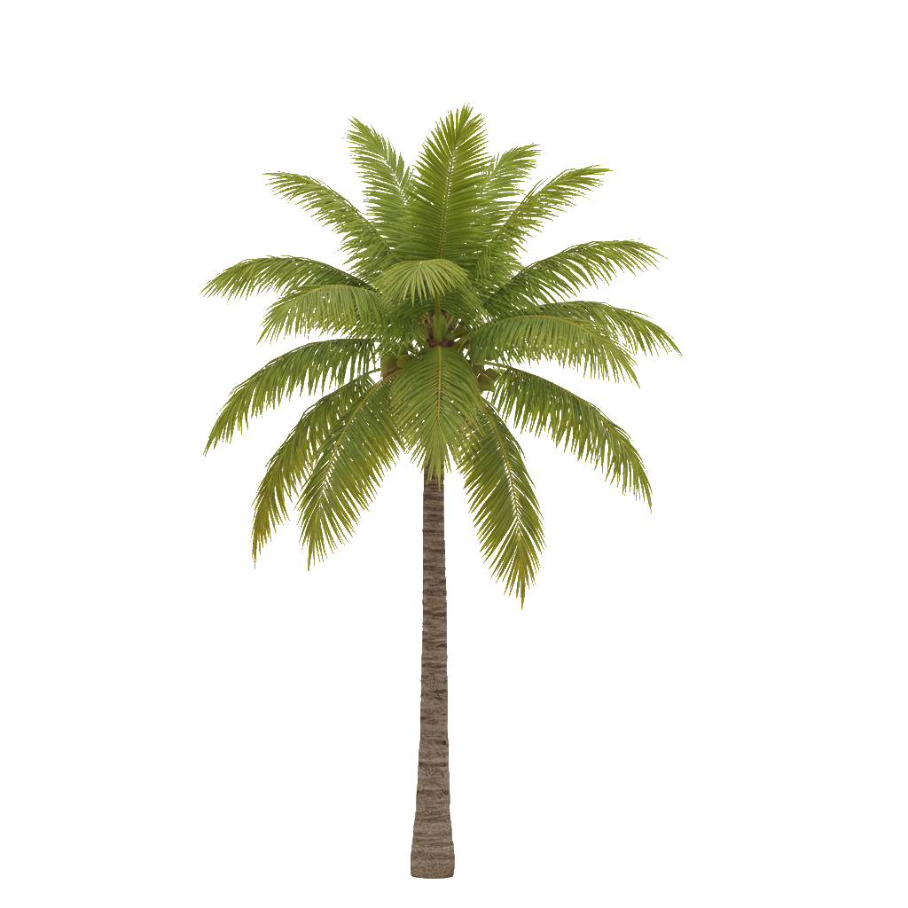 Decorative palm tree illustration representing growth and success